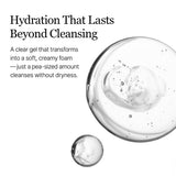 Round Lab - Birch Juice Moisturizing Cleanser