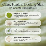 Arencia - Fresh Green Rice Mochi Cleanser