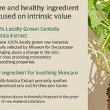 Mixsoon - Soondy Centella Asiatica Essence